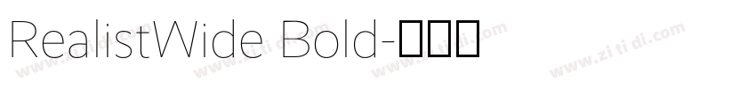 RealistWide Bold字体转换
